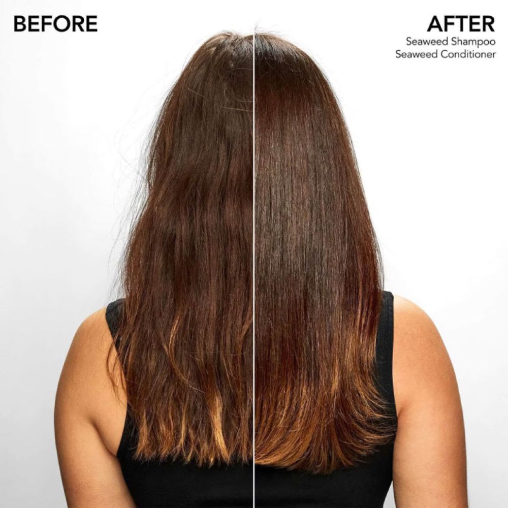 SEAWEED CONDITIONER (ACONDICIONADOR CON EXTRACTOS DE ALGAS MARINAS)